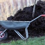 The Best All Natural Fertilizers For Your Garden