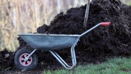 The Best All Natural Fertilizers For Your Garden