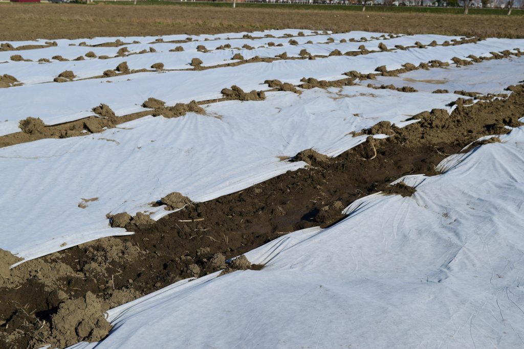 Plastic Sheeting Gardening Hack - Homesteader DepotHomesteader Depot