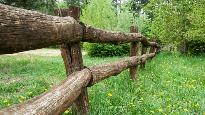7 Great Fence Alternatives for Your Yard
