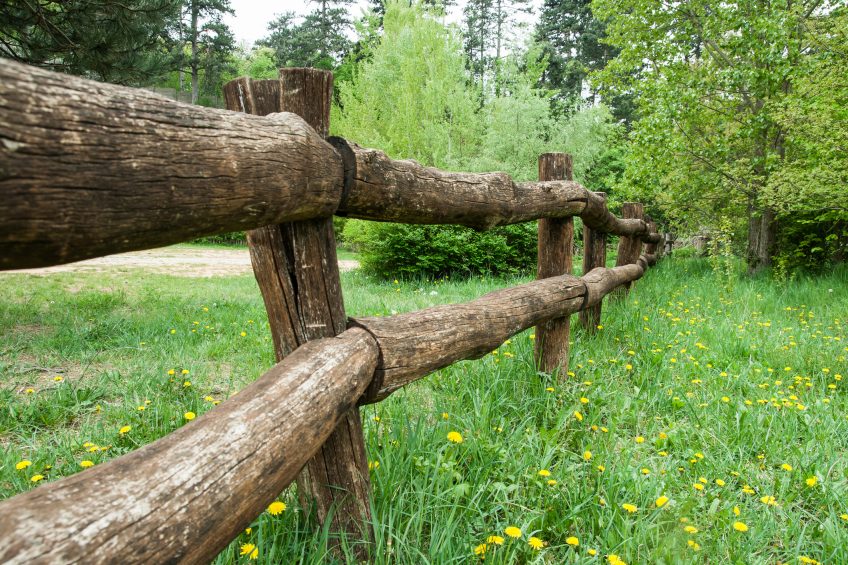 7 Great Fence Alternatives for Your Yard