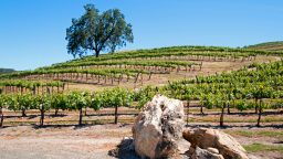 8 Powerful Uses for Limestone