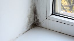 Mold is Growing in Your Home RIGHT NOW…But Where?