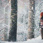 5 Simple (Yet Crucial) Guidelines of Winter Survival