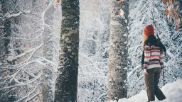 5 Simple (Yet Crucial) Guidelines of Winter Survival