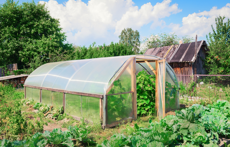 Why Do You Need a Greenhouse and Things to Look for