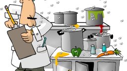 6 Natural Ways to Rid Bugs from Your Kitchen