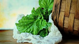5 Great Uses for Cheesecloth in Your Garden