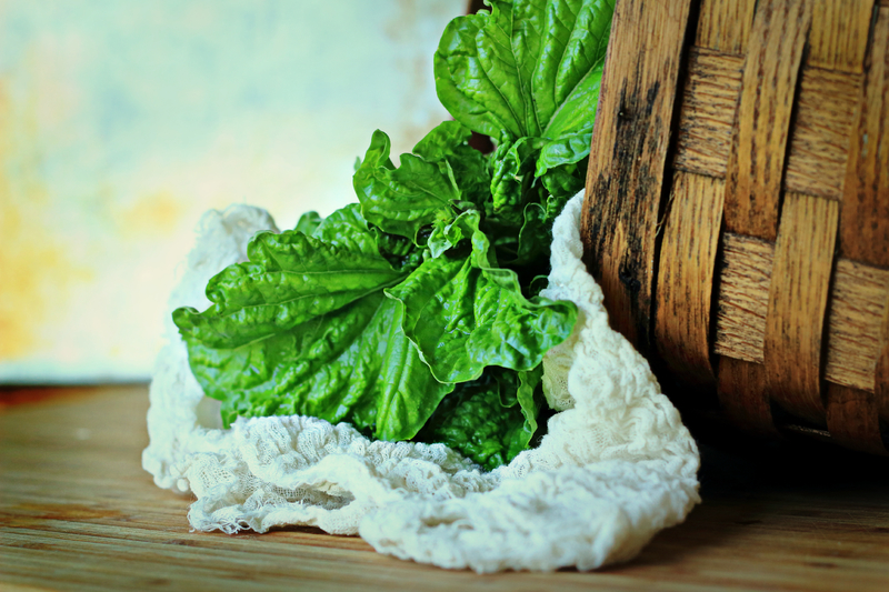 5 Great Uses for Cheesecloth in Your Garden