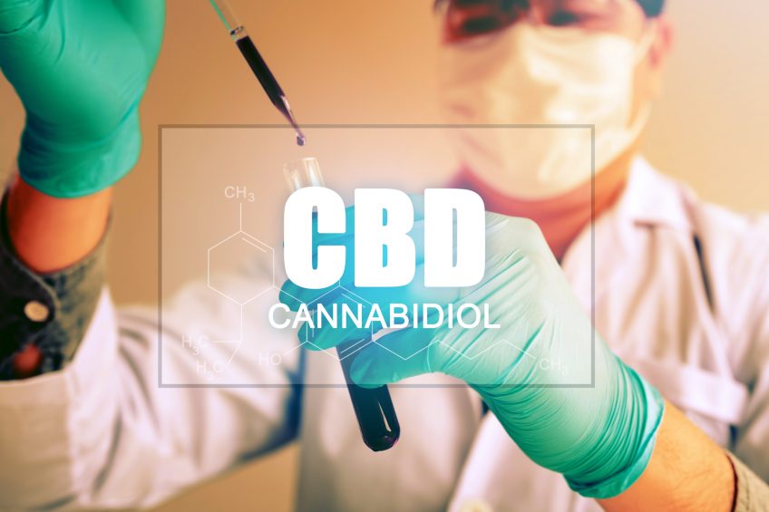 How Can CBD Help You and Should it be Legal?