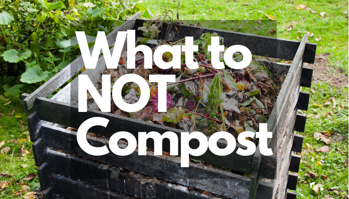 8 Items to NOT Include in Your Compost