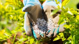 5 Common Fertilization Mistakes