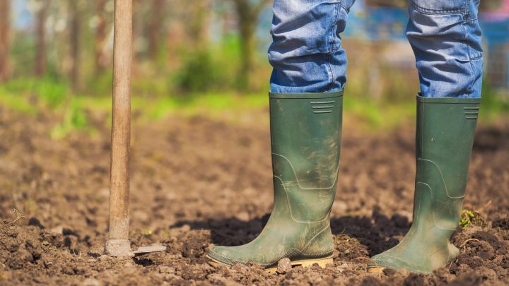 4 More Simple Ways to Improve Soil Quality