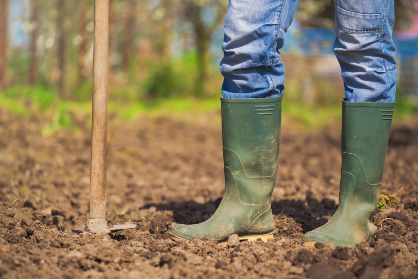 4 More Simple Ways to Improve Soil Quality