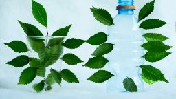 How to be More Environmentally Friendly
