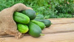 How to Grow the Perfect Cucumbers